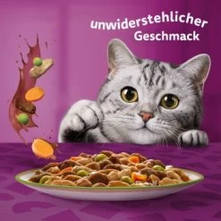 Whiskas Tasty Mix Multipack Chef's Choice In Sauce 60 X 85g 11 Whiskas Tasty Mix Multipack Chef's Choice In Sauce 60 X 85g -Heimtier Verkauf 00442002c36da7f8b13802a1093e87c1e37cdc7c 1410719 de DE Whiskas 6