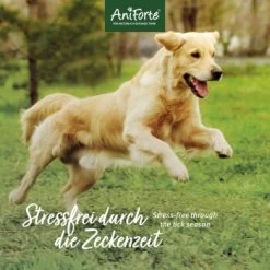 Aniforte Zecken Schild (35 Bis 50kg) Für Große Hunde 60 Kapseln -Heimtier Verkauf 010a1fb0eff3b08c7c0fd6ddc69909abba0586dd 1444358 de DE 6b0465714e7043aa512f07a2e3a3c8a3a07d4c02oT8Ojy