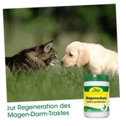 CdVet Magenschutz 100 G 6 CdVet Magenschutz 100 G -Heimtier Verkauf 018a3c7b6dd13b7802f8fe25af989014c901e25e 1668854 de DE 9b13742ef1a3d9332e9f56b1b5eef287ecf5d651f99Khp