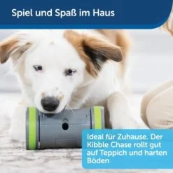 PetSafe Selbstbewegendes Belohnungsspielzeug Kibble Chase -Heimtier Verkauf 04ee16df08a1d0058720c3c24edae0b380a4f40b 1418726 de DE 98f77b1c14ebd5f386fc2520d6b8f5d2f621874avKV76L