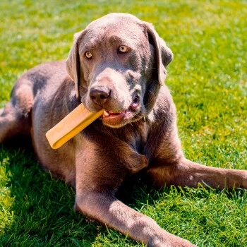 Larsson Yaky Kaukäse XL 9 Larsson Yaky Kaukäse XL – Bild 7