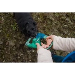 Ruffwear Pacific Ring™ Spielzeug Blau/ Türkis -Heimtier Verkauf 07365c8c03348a7be23ff66a31807695c41eac94 1444351 de DE bb2133baab48cb1d262b89fa47f175638eb3f7fcb9JpcH