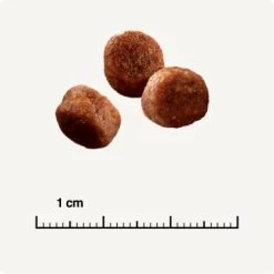 SELECT GOLD Digestion Senior Geflügel Und Reis 2,5kg -Heimtier Verkauf 0999645de19e34aac9b2c14ea642717fe4bc62d2 1001086008 de DE 6