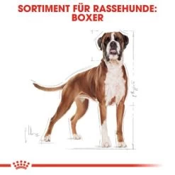 ROYAL CANIN Boxer Adult 12 Kg 12 ROYAL CANIN Boxer Adult 12 Kg -Heimtier Verkauf 0a1e579b39821652565758b5ee804a79a6bf8957 9d8dd228dff8f4c8af80f6f9491d9cdf53626cb6