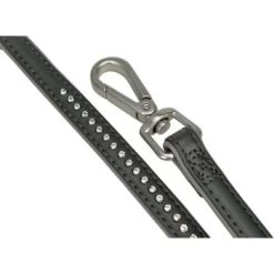 MORE FOR Deluxe Führleine Anthrazit XS 5 MORE FOR Deluxe Führleine Anthrazit XS -Heimtier Verkauf 0e4d429d6b4ea414d846414cdcf8df3e4e16e8cb 6aceb50234562dd2d2ccf3235be56a1e28ff6abe