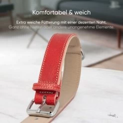 Freudentier Gefüttertes Halsband Aus Leder Rot L 11 Freudentier Gefüttertes Halsband Aus Leder Rot L -Heimtier Verkauf 0f630c6f0729806bc3c30ba5c2b9c3d909c228ee 1655241 de DE 198e5678649df51bbe133097f6107207e25ec907R9K85V