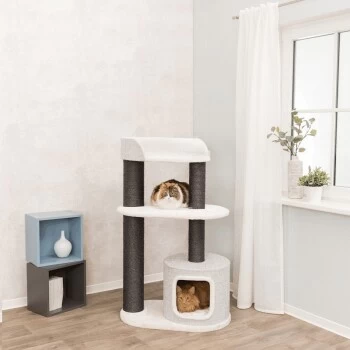 Trixie Kratzbaum XXL Cara 4 Trixie Kratzbaum XXL Cara – Bild 2