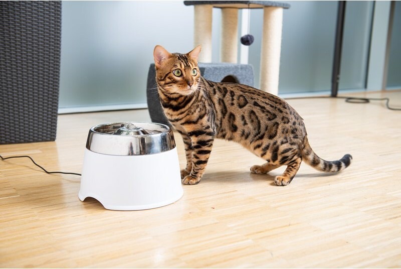 Heimtier Verkauf -Heimtier Verkauf 1273304 8841565361877.jpg 2880