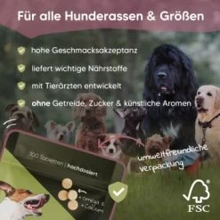 Pawlie's Gelenk Fit Tabletten Hund (100 Stück) 9 Pawlie's Gelenk Fit Tabletten Hund (100 Stück) -Heimtier Verkauf 13c2aa37a08da916b1cd8014d264ba1cb5e12204 1626201 de DE 016987b286bf5101f5ed2a1610825cada7f4cd39esKrs5