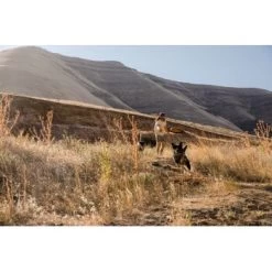 Ruffwear Hover Craft™ Spielzeug Orange 17 Ruffwear Hover Craft™ Spielzeug Orange -Heimtier Verkauf 15670c7f824cb67257971dca32974b68eba14a2f 1364297 de DE f53c4ca5615bcabb9ccbd712339b8f568f29402frPrk2m