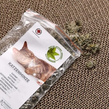 Canadian Cat Company Kratzbrett Jumbo Galaxy Naturfarben 5 Canadian Cat Company Kratzbrett Jumbo Galaxy Naturfarben – Bild 3