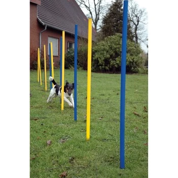 Dobar DOBA 12-teiliges Slalomset, Agility 4 Dobar DOBA 12-teiliges Slalomset, Agility – Bild 2