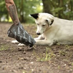 Lionto 900 Hundekotbeutel, Schwarz/grün 9 Lionto 900 Hundekotbeutel, Schwarz/grün -Heimtier Verkauf 17d84f00e6e089a625e4a7445a96fed1a09bb2f4 1505073 de DE c0948f5c29f13d2cf13d5fe146c78c3bdc08027cV7CBfj