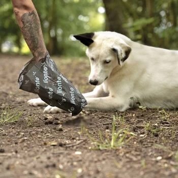 Lionto 900 Hundekotbeutel, Schwarz/grün 6 Lionto 900 Hundekotbeutel, Schwarz/grün – Bild 4