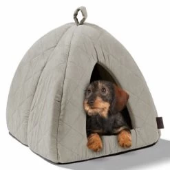 MORE Höhle Diamond 26 MORE Höhle Diamond -Heimtier Verkauf 1901edb64570eb8cb38c0e72458280ff138dcb40 856e9f8ef094dc77c4e2ce9e6d85768bffa721c6