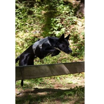 Ruffwear Geschirr Webmaster Grau XS 4 Ruffwear Geschirr Webmaster Grau XS – Bild 2