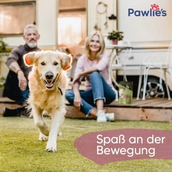 Pawlie's Gelenk Fit Tabletten Hund (100 Stück) 7 Pawlie's Gelenk Fit Tabletten Hund (100 Stück) – Bild 5