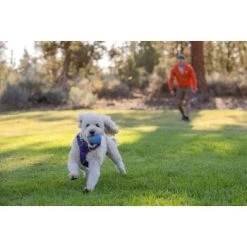 Ruffwear Huckama™ Spielzeug Violett -Heimtier Verkauf 1e25287ed59c30d76e9b799ca71232e607c6932b 1639706 de DE 4cde75bd4ef04e9f936b40473471e71f69a39443R9gkOp