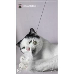 Kater Kasimir Premium Katzenangel Set Aus Buchenholz Mit 4 Handgemachten Anhängern -Heimtier Verkauf 21dd16f50076a5d627c45258925f2847665d22a7 1422145 de DE ad7eb1e3270aeafca2a582afabb293db93269a7cF1epRY