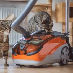 THOMAS AQUA+ Pet & Family -Heimtier Verkauf 21e8e8518abc51c946ca914e90765288e3a69832 1408595 de DE b89bf30d7c68d7291af3123da80a610e6c34da4duk7V17