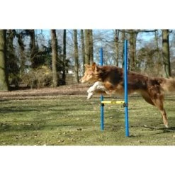 Dobar 3-teiliges Agility Sprung-Set,, Inkl. Tragetasche 9 Dobar 3-teiliges Agility Sprung-Set,, Inkl. Tragetasche -Heimtier Verkauf 23438a1c89953580debb447a4f2a6705cf109122 9daba483a29d35b05cf9df2cf0269c15e7db3ed2