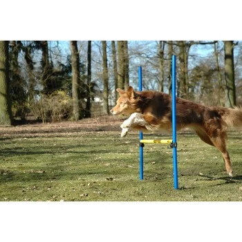 Dobar 3-teiliges Agility Sprung-Set,, Inkl. Tragetasche 5 Dobar 3-teiliges Agility Sprung-Set,, Inkl. Tragetasche – Bild 3