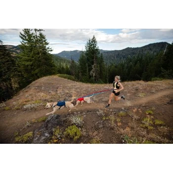 Ruffwear Switchbak™ Geschirr Rot L-XL 12 Ruffwear Switchbak™ Geschirr Rot L-XL – Bild 10