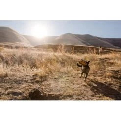 Ruffwear Hover Craft™ Spielzeug Orange 16 Ruffwear Hover Craft™ Spielzeug Orange -Heimtier Verkauf 23f3ce0fb188e4f5a253007adc90481d6747961b 1364297 de DE e44fe3627eb338195cfdd7c589598a8edb05def2xpzXS1