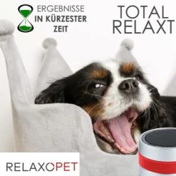 RelaxoPet PRO Entspannungs-Trainer HUND 12 RelaxoPet PRO Entspannungs-Trainer HUND -Heimtier Verkauf 2a2890af55504b316fb288b48c33f73cd8cd6818 1315705 de DE 86a89a3dec2d79cadfd859276b25e24b347ce6a68JwiKQ