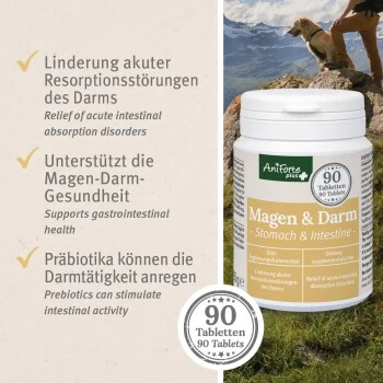 Aniforte Plus Magen & Darm 90 Tabletten 7 Aniforte Plus Magen & Darm 90 Tabletten â Bild 5