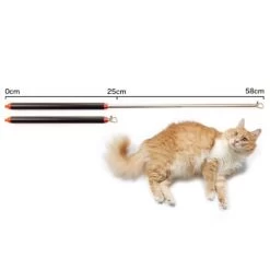 Schlitzohr Stabile Katzenangel Arnold -Heimtier Verkauf 2b03aaa8061d454c3b132f3d29075b579f022315 1484671 de DE 4db6a969e0582cf4b987acff93cb66c6c6149da6OAB1hx