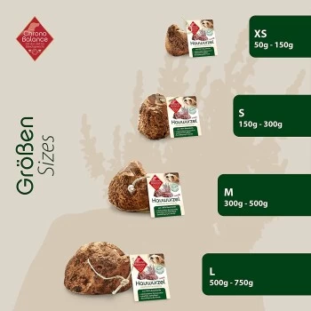ChronoBalance Kauwurzel Für Hunde Baumheide 400 G 7 ChronoBalance Kauwurzel Für Hunde Baumheide 400 G – Bild 5