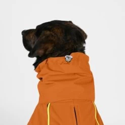 THE DOG IDEA Regenmantel Duke Orange XXXS 10 THE DOG IDEA Regenmantel Duke Orange XXXS -Heimtier Verkauf 2c464c8150423d80739b1409ce956e12c7928827 1473000 de DE 974a3540330c77e50b2a59dc10e705f1dbfc6716V9PfXa