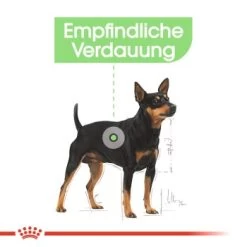 ROYAL CANIN Digestive Care Mini 8 Kg -Heimtier Verkauf 2f44f806b768c0d4181b42955c2678d2b1c910f5 6f99c8b5c64093b4e59b1ecd7ada5ca40e016ce2