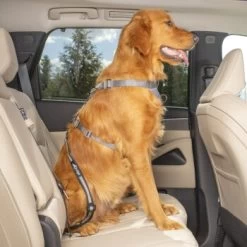 Kurgo Swivel Tether Hunde-Sicherheitsgurt 16 Kurgo Swivel Tether Hunde-Sicherheitsgurt -Heimtier Verkauf 307a4c5f050b6142fe4c665bdeaa3a0be0385ec3 1481164 de DE 8cf1d51712fee99749a185998fab0d1502a24f68v0gDmS