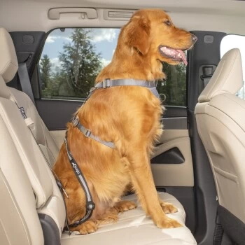 Kurgo Swivel Tether Hunde-Sicherheitsgurt 8 Kurgo Swivel Tether Hunde-Sicherheitsgurt – Bild 6