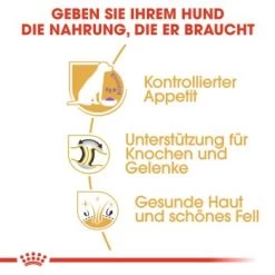 ROYAL CANIN Labrador Adult Sterilisiert 12 Kg -Heimtier Verkauf 318ba0ef082f19d7f189daa60ce58b5b82da72b0 0f8c00585e5d0a1ec6125a08e6f6194a30028a03