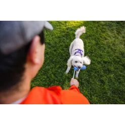 Ruffwear Gourdo™ Spielzeug S Grün -Heimtier Verkauf 340d5a3cda4bb7c7215d03f2d69aea1fb532027d 1639795 de DE dcb292407c796db89093f35e704145b6700aa2deFjWC0G