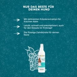 MediDog Dental Fresh & Clean 9 MediDog Dental Fresh & Clean -Heimtier Verkauf 343cceef613c074ed5b447a70d31269a870cf15d 1499660 de DE f2641cc7f5b00beb77fbbf61330ce24716292663yYZq7c