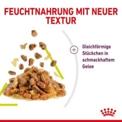 ROYAL CANIN SENSORY Smell In Gelee Für Wählerische Katzen 12x85g -Heimtier Verkauf 3469e2789c9f64bff26f87bbac39ba0a4ed440ea 45f33cf5dbb691236fc67f7b11a07842abb35bb4
