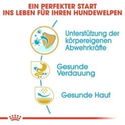 ROYAL CANIN Französische Bulldogge Puppy 10 Kg 16 ROYAL CANIN Französische Bulldogge Puppy 10 Kg -Heimtier Verkauf 34ed88d56e0be1cc0a286c4ecd66a1af31d1100e 2bf488555545c9acb1d0d947f06389b7a3324357