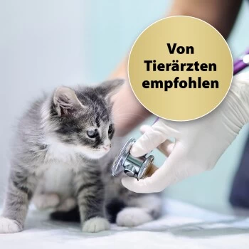 Felisept Home Comfort Set Diffusor + Flakon 45ml 4 Felisept Home Comfort Set Diffusor + Flakon 45ml – Bild 2