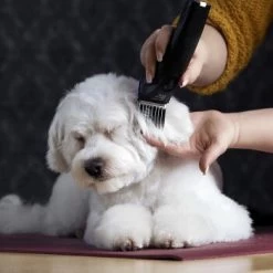 Moser Schermaschine Arco Pro -Heimtier Verkauf 365e29754c538dcc259069da0cc9793e69d0b654 8ffdd5bc19f3a136ec865d6030d040722a7ad1c3