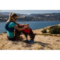 Ruffwear Switchbak™ Geschirr Rot L-XL 20 Ruffwear Switchbak™ Geschirr Rot L-XL -Heimtier Verkauf 36627c6d89b8694143fad3770a02ccde77e7d7a6 1651575 de DE f8932f895fb04354463c1c418e28b73edfe4f661JkyILG