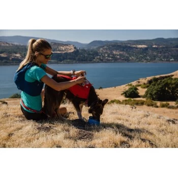 Ruffwear Switchbak™ Geschirr Rot L-XL 10 Ruffwear Switchbak™ Geschirr Rot L-XL – Bild 8