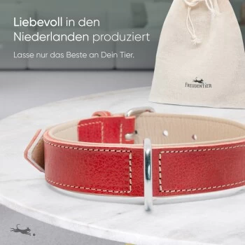 Freudentier Gefüttertes Halsband Aus Leder Rot L 6 Freudentier Gefüttertes Halsband Aus Leder Rot L – Bild 4
