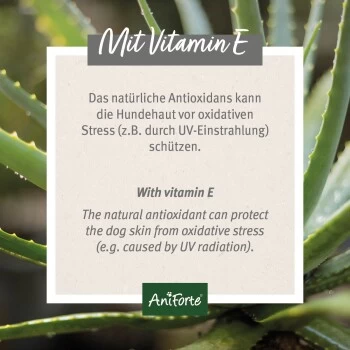 Aniforte Ohren-Reinigungspads Ohrenpflege Pads 100 Stück 4 Aniforte Ohren-Reinigungspads Ohrenpflege Pads 100 Stück – Bild 2