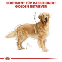 ROYAL CANIN Golden Retriever Adult 12 Kg 12 ROYAL CANIN Golden Retriever Adult 12 Kg -Heimtier Verkauf 3f6d567572cfb1e47a6150727d5c2bca6786edbc 449b3ff968c54d107edb2d725c3518ba098a60bf