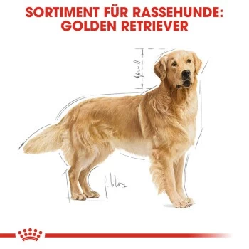 ROYAL CANIN Golden Retriever Adult 12 Kg 7 ROYAL CANIN Golden Retriever Adult 12 Kg – Bild 5