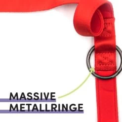 STUCH Hundeleine - Führleine - Medium Rot 11 STUCH Hundeleine - Führleine - Medium Rot -Heimtier Verkauf 417b667e17cc878e03d99935a0455feb62c1f5b9 1399118 de DE 95ade165f5933b21f71491f3eeb1769591b52c61Sn9mqZ